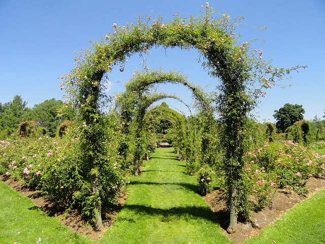 Pergola má mnoho podob Pergola má mnoho podob